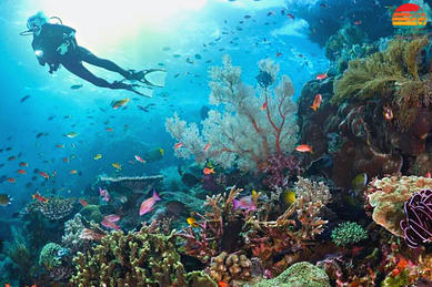 LOOE KEY REEF resort & DIVE center - Image 1