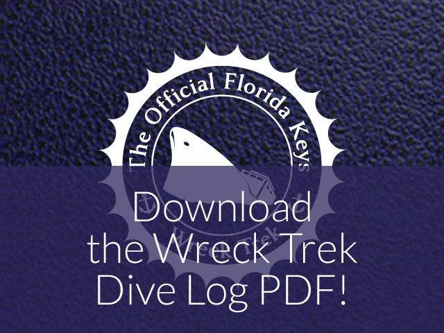 Download the Wreck Trek Dive Log PDF!