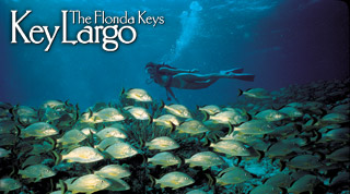 Browse all Key Largo Attractions