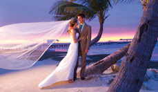 Browse All Wedding Business Listings