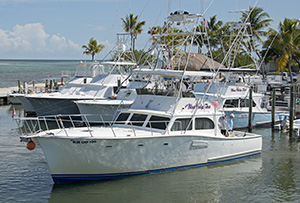 Bradeen currently owns and operates two Blue Chip Too charterboats based out of Whale Harbor Marina in .
