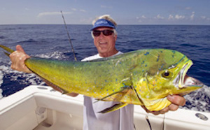 Johnson displays a nice dolphin fish he caught while trolling in his "Three Rings" center console fishing boat off Islamorada. 