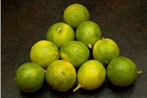 Where it all begins: Tiny yellow Key limes