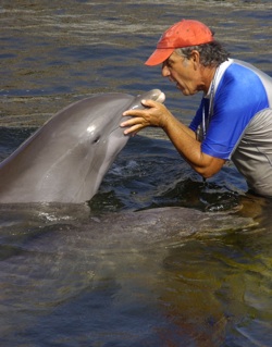Mandy Rodriguez has trained with the dolphins at DRC, including Kibby, for decades. Photos courtesy of Dolphin Research Center