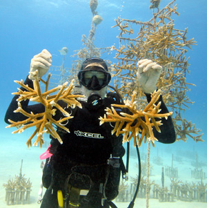Ken Nedimyer, president of the Key Largo-based Coral Restoration Foundation, poses in the organization's coral nursery with juvenile coral cuttings. Photo by Kevin Gaines/Coral Restoration Foundation