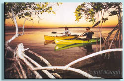 Paddlers prepare to enter the thick Florida Keys mangroves where laying down the paddle and pulling along the path by hand is a common and recommended practice. 