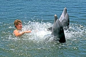 DolphinLab is a seven-day class perfect for the supreme dolphin enthusiast, and appeals to individuals who aspire to be trainers or research scientists in the marine mammal field. Image courtesy of DRC.
