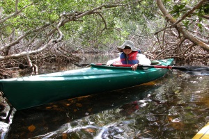 The Keys' waters are protected within the Florida Keys Marine Sanctuary, offering an unspoiled region for tranquil exploration. Florida Keys News Bureau photo.