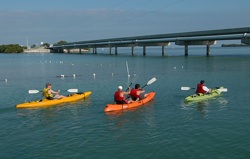 Visitors eager to experience the Florida Keys by kayak can find guided excursions or rent their own kayaks at facilities throughout the island chain. Photo by Andy Newman/Florida Keys News Bureau
