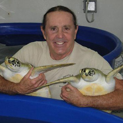 Richie Moretti with a couple of his rescued sea turtles