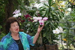 Harriet Stokes, owner of Largo Lodge, proudly shows off her orchid garden at her quaint Key Largo property. Photos by Belinda Serata.