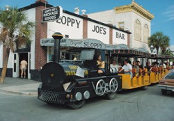 Travellers to Key West will find many discounts for the family, with children (aged 4-12) enjoying free rides on both Old Town Trolley Tours and the Conch Tour Train when accompanied by a paying adult.