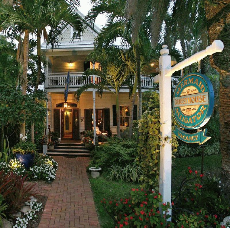 THE mermaid & THE alligator - Image 1