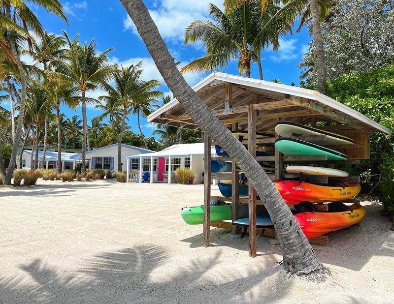 Pines AND palms resort - Image 4
