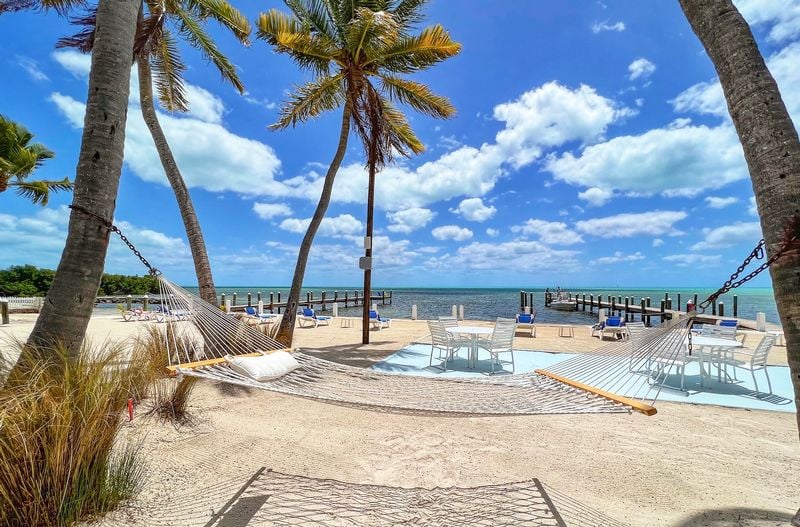 Pines AND palms resort - Image 1