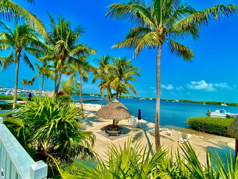 Coconut PALM INN - Image 4
