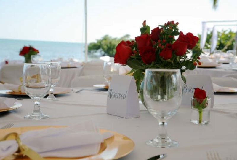 Island villa rental properties - Image 1