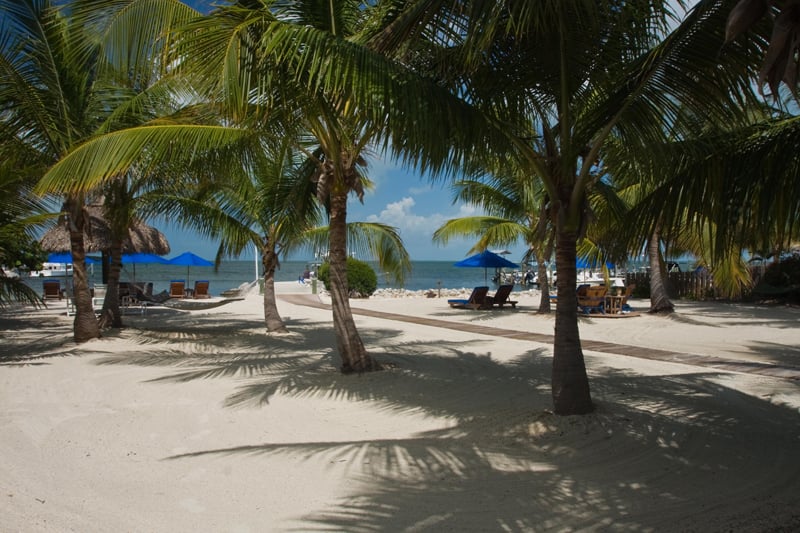 Island BAY resort - Image 2