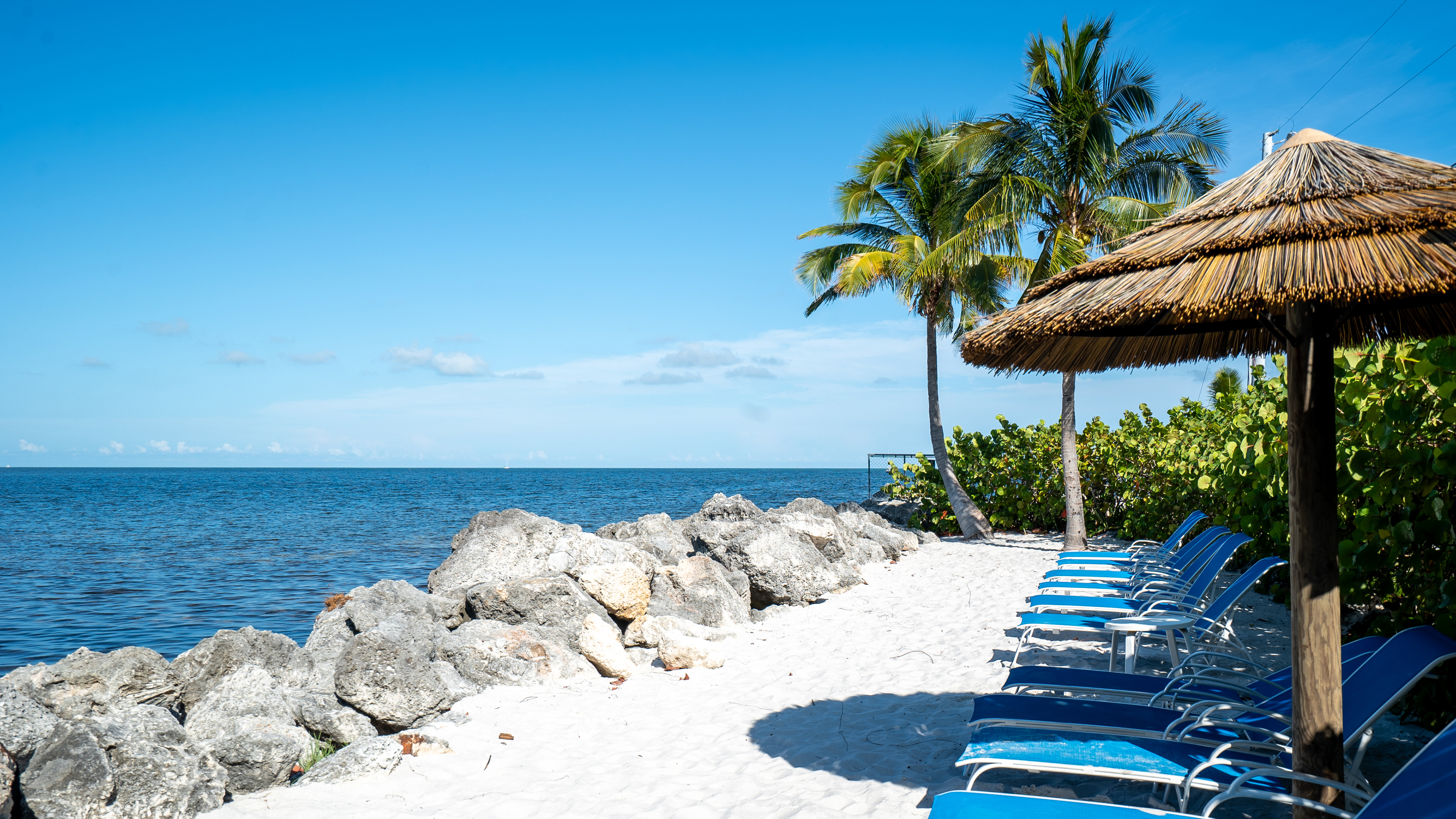 Blue lounge chairs lined up on a beach under a cabana.