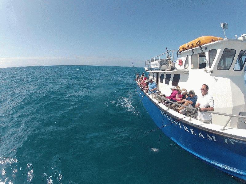 Find Key West fishing party boats here at Fla-Keys.com ...